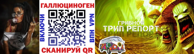 Галлюциногенные грибы мицелий  Кудрово 