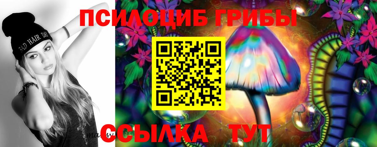 Псилоцибиновые грибы Cubensis  Псилоцибиновые грибы MAGIC MUSHROOMS  Кудрово  Вход с VPN 