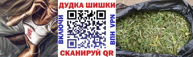 цена   Кудрово  Бошки Шишки семена 