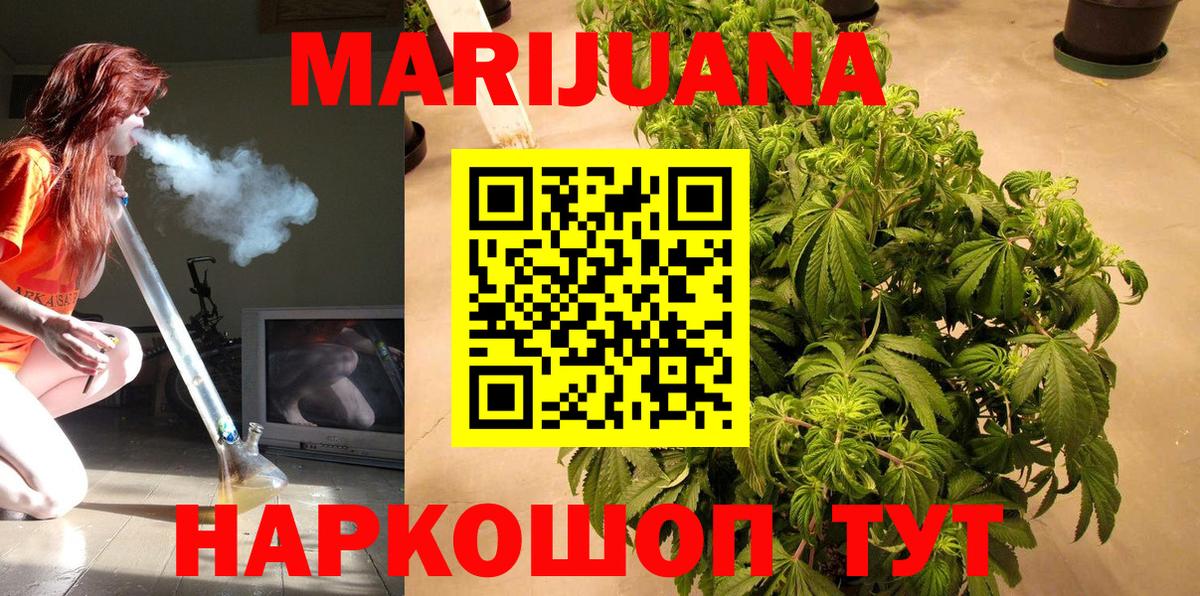 Конопля план Кудрово